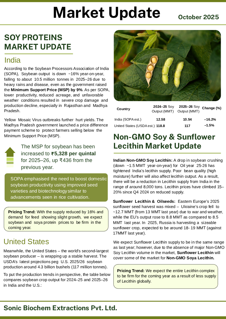 Market Update Sawing Data